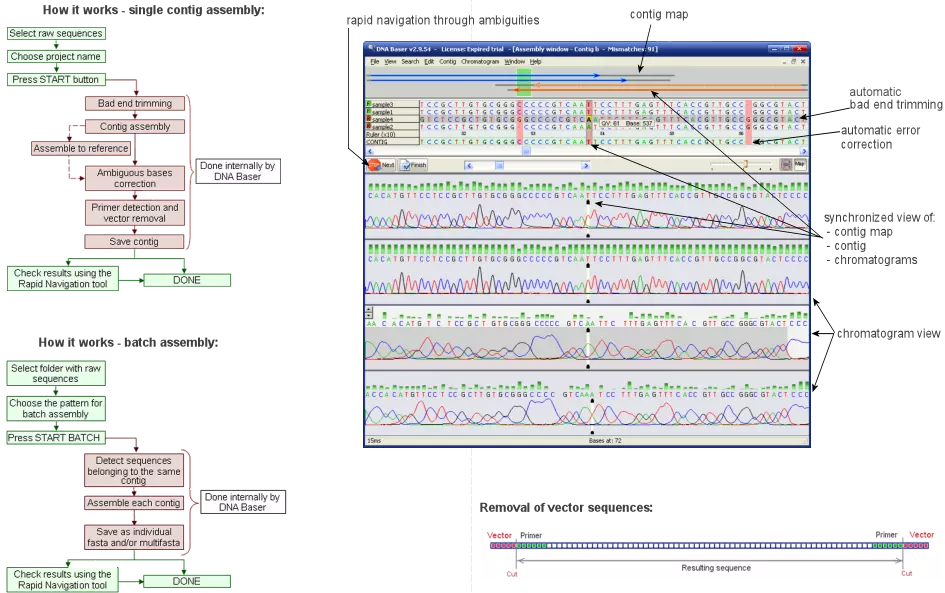 DNA fragment alignment, sequence analysis and editing, assemble to reference, sequence alignment/sequence analysis